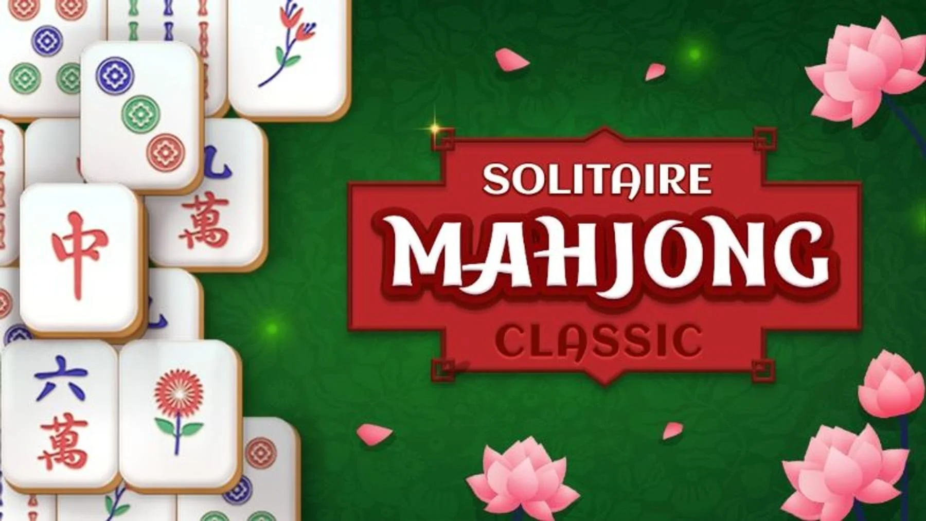 Spider solitaire set up